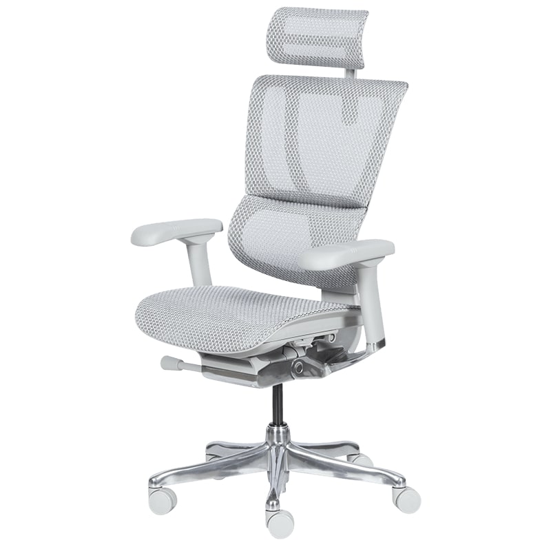 Ергономичен офис стол IOO Elite 2 сива рамка-сив